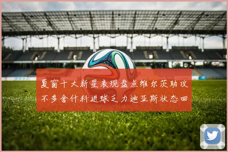 夏窗十大新星表现盘点维尔茨助攻不多舍什科进球乏力迪亚斯状态回暖