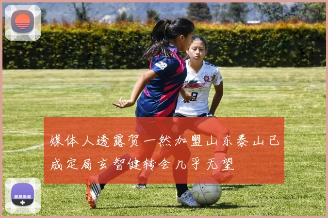 媒体人透露贺一然加盟山东泰山已成定局玄智健转会几乎无望