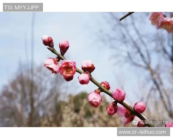 克莱深情命名小船冬梅展现爱的执着与温暖